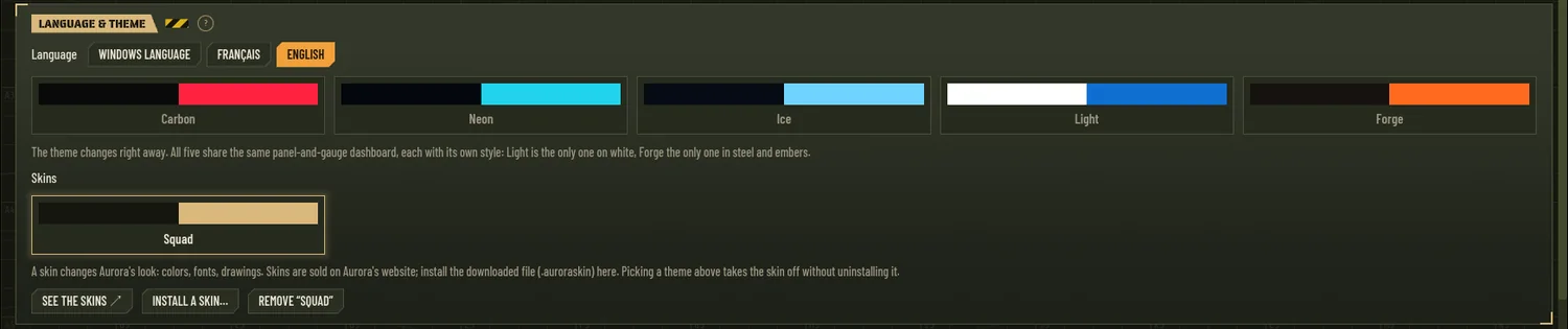Settings, Language & theme panel: the Skins row, Squad worn